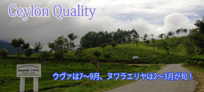 ceylon quality