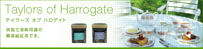 Taylors of Harrogate